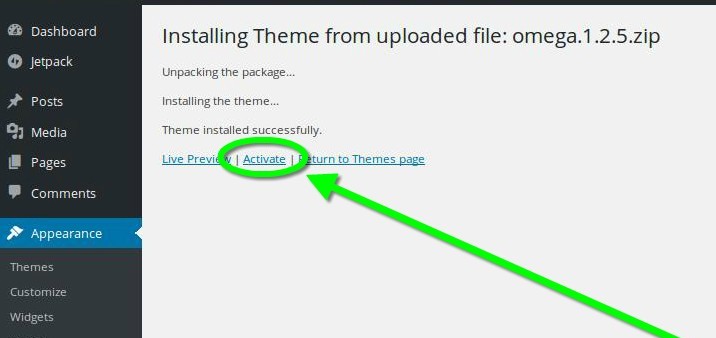 How to Install a WordPress Theme